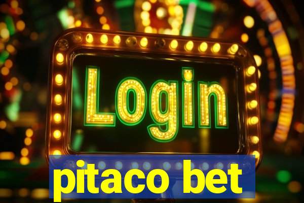 pitaco bet